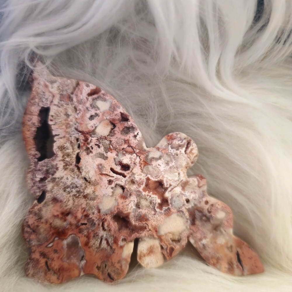 PINK Crazy Lace Faerie